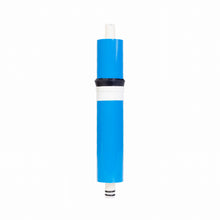 Load image into Gallery viewer, Beta (Rentity exclusive model)